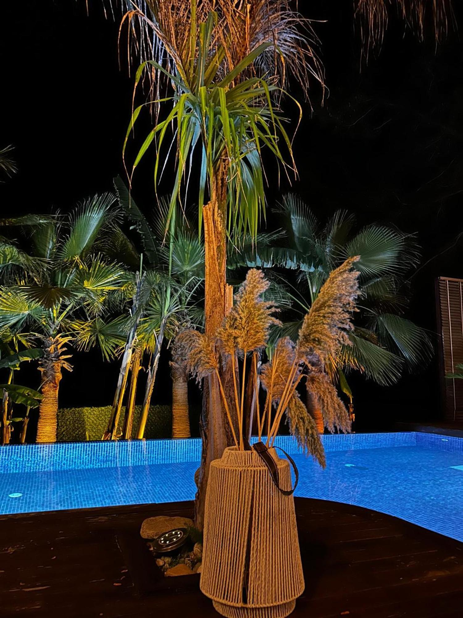 Metavilla Kemer Phòng bức ảnh
